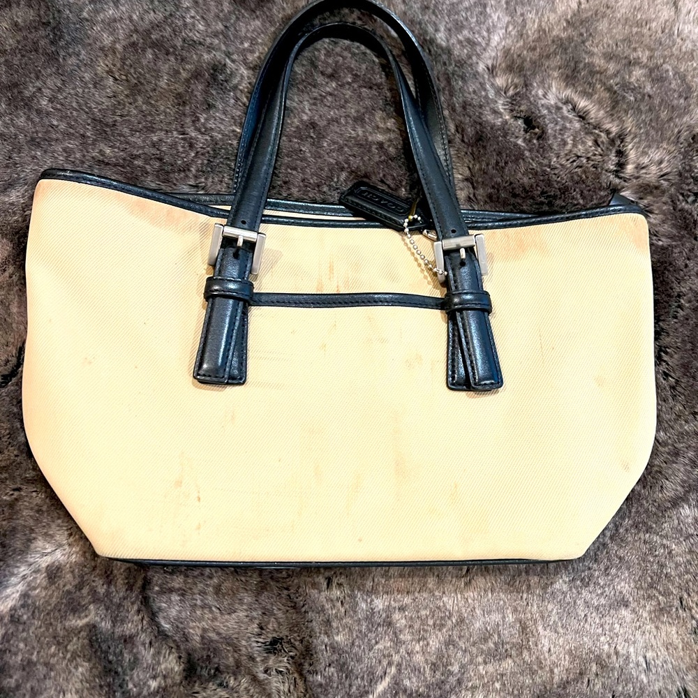 Sweet little Coach purse
